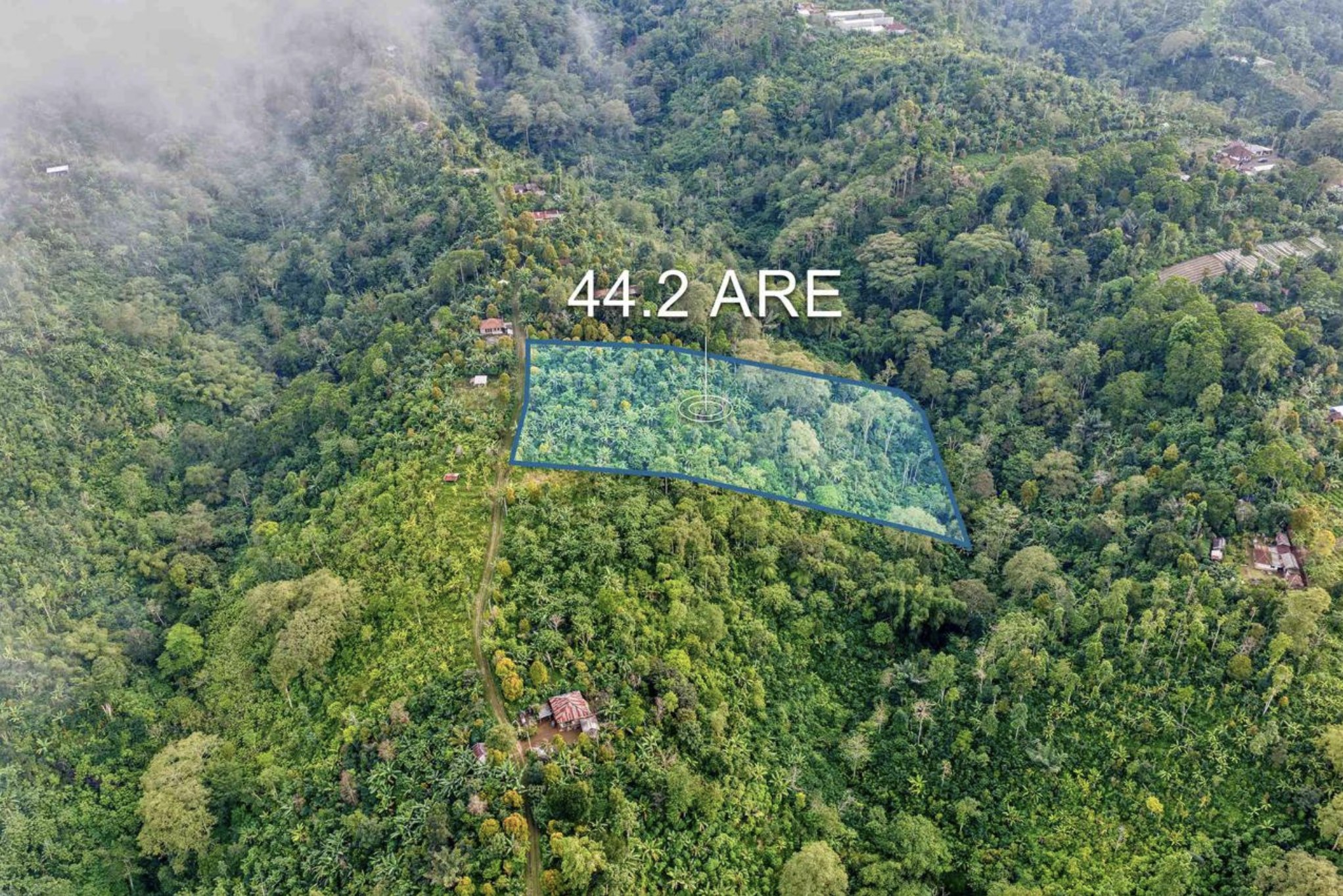 The land: jungle ridge in Munduk